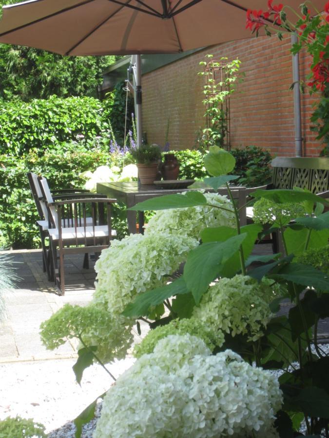 B&B De Gouden Vlo Donkerbroek ภายนอก รูปภาพ