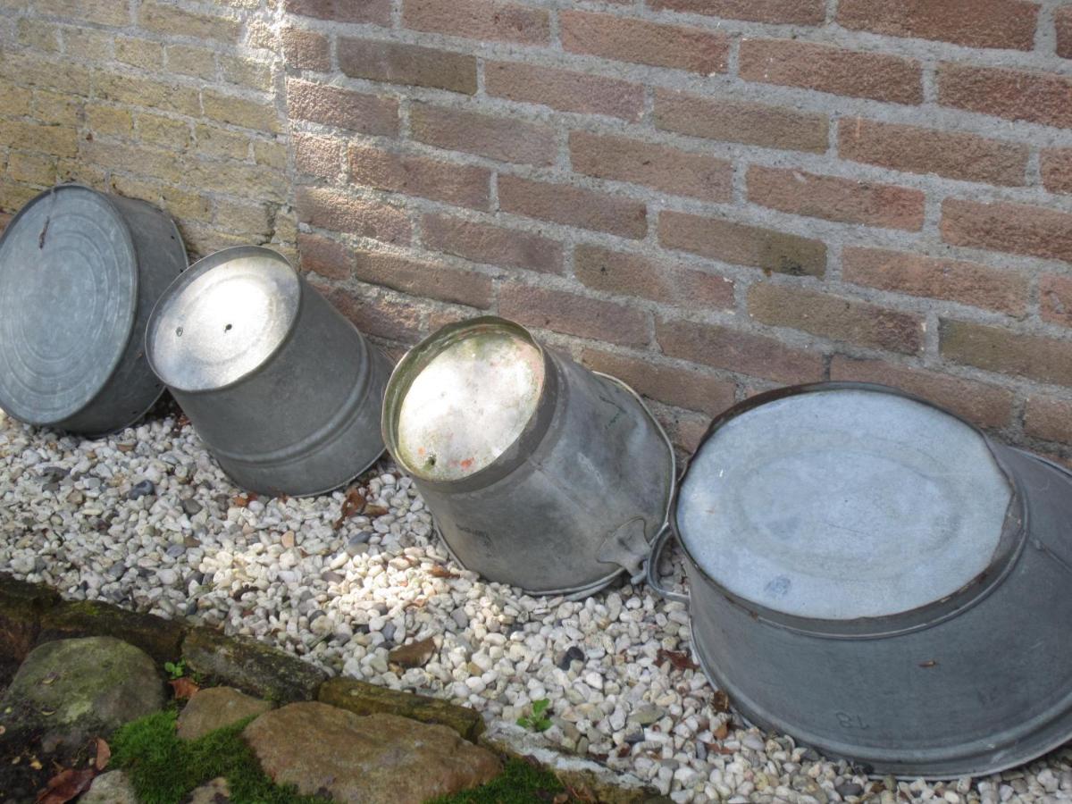 B&B De Gouden Vlo Donkerbroek ภายนอก รูปภาพ